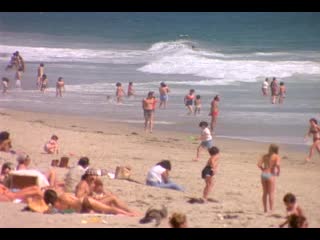 zuma beach (1978)
