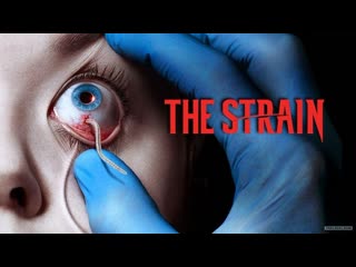 the strain - season 4